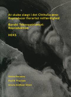 At skabe slægt i det chthulucæne : reproducer flerartet retfærdighed: Barokt teknopatriarkat : reproduktion: Heks