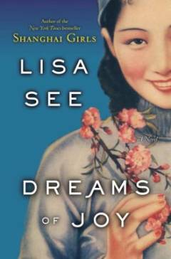 Dreams of joy : a novel