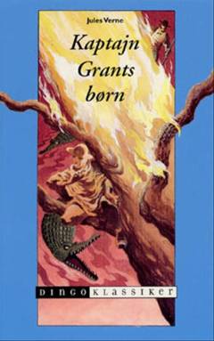 Bog, 1. udgave, 2001