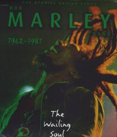 Bob Marley : the stories behind every song : soul survivor