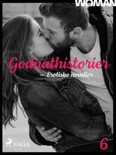 Godnathistorier : erotiske noveller. 6