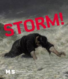 Årbog (M/S Museet for Søfart). Årgang 2015 : Storm!