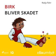 Birk bliver skadet