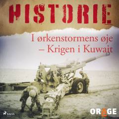 I ørkenstormens øje : krigen i Kuwait