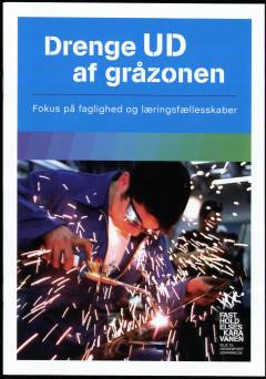 Drenge ud af gråzonen : fokus på faglighed og læringsfællesskaber