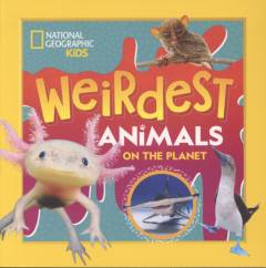 Weirdest animals on the planet