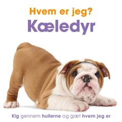 Kæledyr