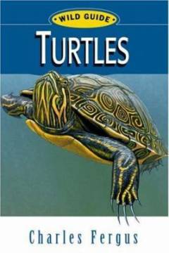 Turtles