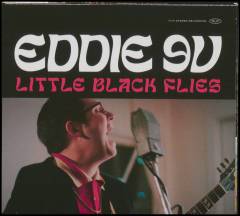 Little black flies