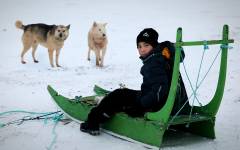 Min klasse i Grønland. 1:10 : Hundeslæde