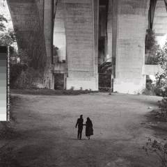 Quiet in a world full of noise