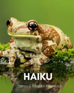 Haiku