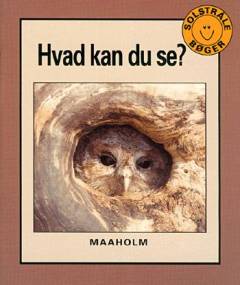 Hvad kan du se?