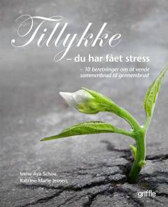 Tillykke - du har fået stress : 10 beretninger om at vende sammenbrud til gennembrud
