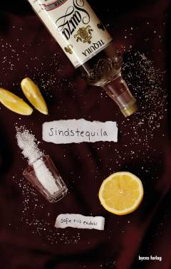 Sindstequila : en ungdomsroman