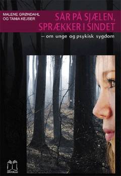 Sår på sjælen, sprækker i sindet : om unge og psykisk sygdom