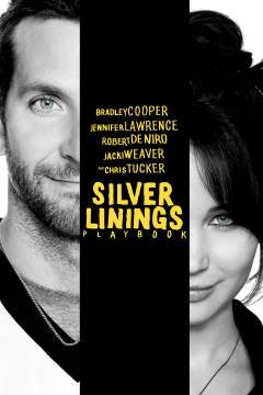 Silver linings playbook