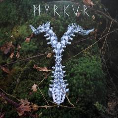 Spine