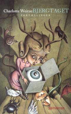 Bog, 1999