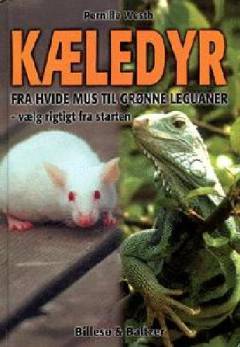 Kæledyr : fra hvide mus til grønne leguaner : vælg rigtigt fra start