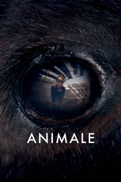 Animale