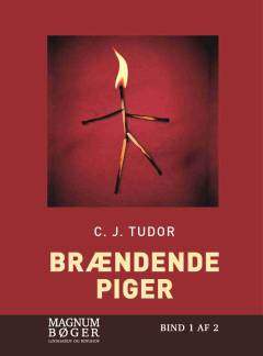 Brændende piger. Bind 1 (Stor skrift)