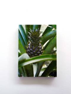 Happity forever - tentativ metode til generering af nye skulpturer