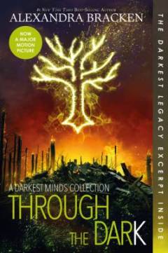 Through the dark : a darkest minds collection