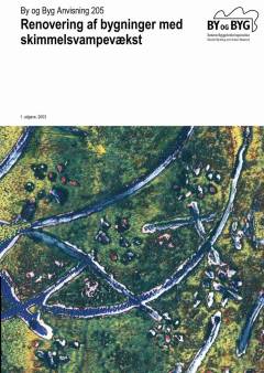 Renovering af bygninger med skimmelsvampevækst