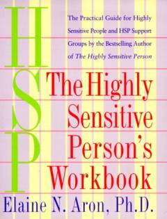 The highly sensitive person's workbook : the practical guide for highly sensitive people and HSP support groups