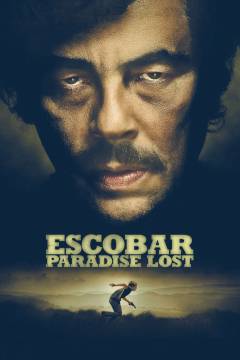 Film (dvd), 2015
