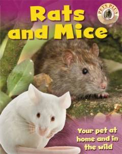 Rats and mice