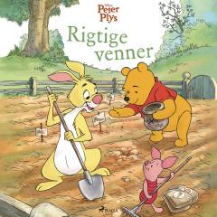 Rigtige venner