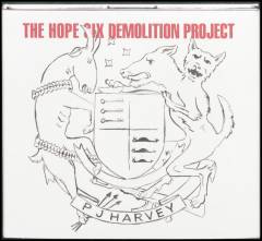 The Hope Six Demolition Project