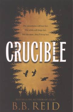 Crucible