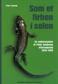 Som et firben i solen: en undersøgelse af Peter Seebergs eftersøgning 1964-1999