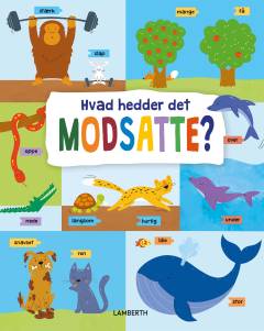 Hvad hedder det modsatte?
