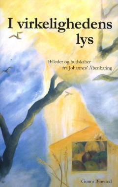 I virkelighedens lys : billeder og budskaber fra Johannes' Åbenbaring