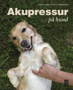 Akupressur på hund
