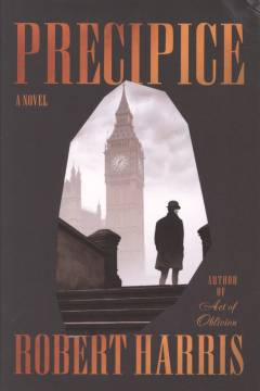 Precipice : a novel