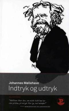 Indtryk & udtryk : udvalgte klummer 2004-2006