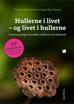Hullerne i livet - og livet i hullerne : præsten og lægen om mødet mellem tro og videnskab