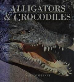 Alligators & crocodiles