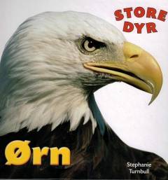 Ørn