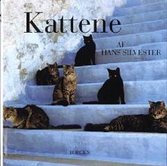 Kattene
