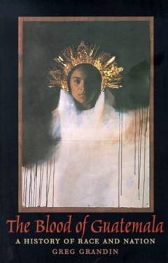 The blood of Guatemala : a history of race and nation