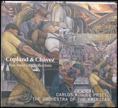 Pan-American reflections
