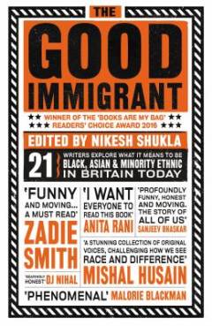 The good immigrant