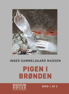 Pigen i brønden : kriminalroman. Bind 1 (Stor skrift)