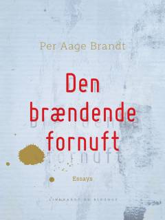 Den brændende fornuft : om kvinden og andre problemer